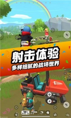 169154440126504 169154440126504