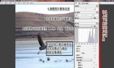 154926-64db2e06ab0f4 154926-64db2e06ab0f4