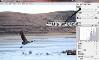 154922-64db2e0272152 154922-64db2e0272152