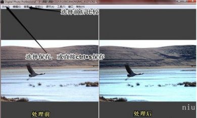 154904-64db2df08ddae 154904-64db2df08ddae