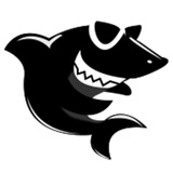 黑鲨装机大师软件安装