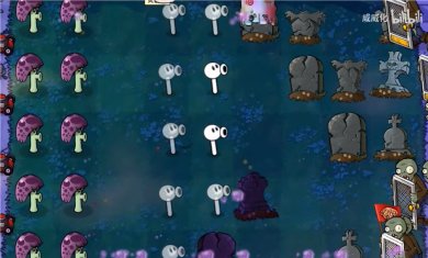 199315_bsny 199315_bsny