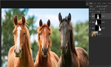 20240424054553558 20240424054553558