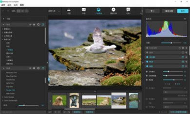 202102221422279230 202102221422279230