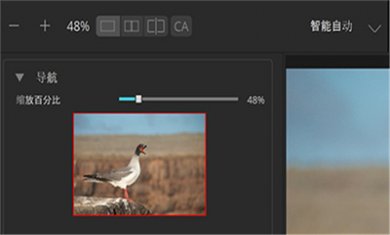 2021022214223893 2021022214223893