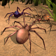 蜘蛛模拟生存免广告版免费下载