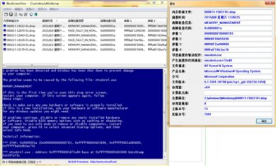 b3119313b07eca80c46ecc97972397dda1448353