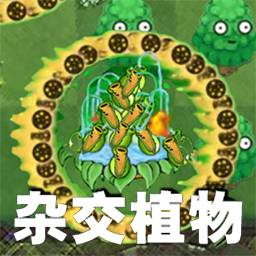 植物进化战正版