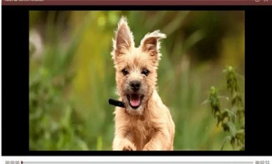 A3B8828C-3388-4248-91A9-094A9226F9D1