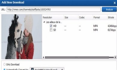 B833E13C-16E6-4d1b-8237-16F90A3637DD