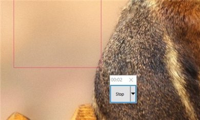 CDC57C81-AE61-4388-B83D-06F76AF7F561