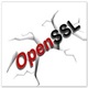 apr_crypto_openssl-1.dll